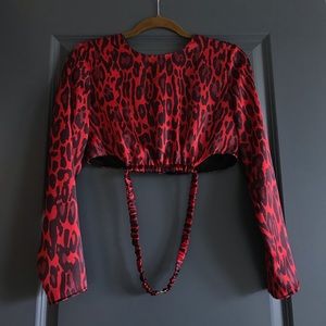 NWT Zara long sleeved crop top